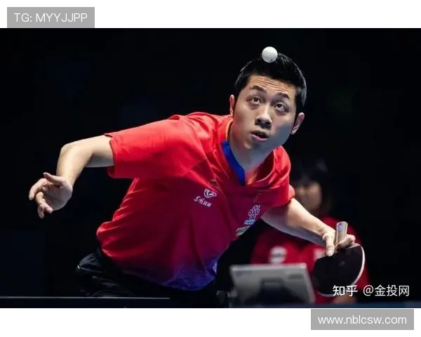 杭州乒乓球队实力强劲最新乒乓球TOP10榜单揭晓