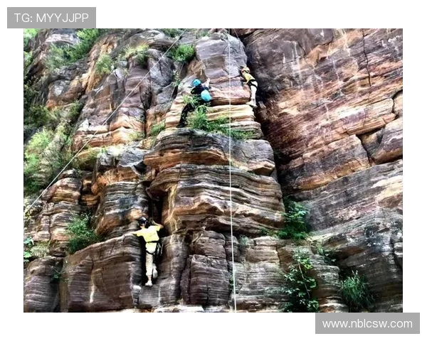上海攀岩队协作能力分析及其在比赛中的表现研究 上海攀岩队协作能力分析及其在比赛中的表现研究