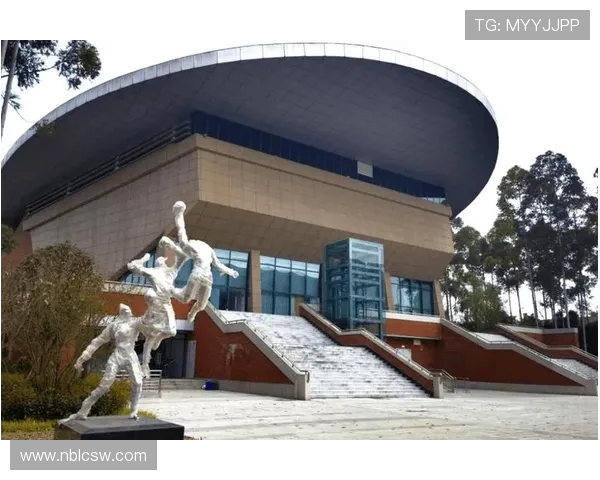 成都排球队近期状态分析与表现评估及未来发展趋势探讨