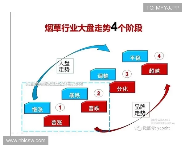 杭州滑板队现状分析与未来发展展望探讨